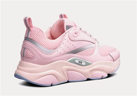 dior b22 rose